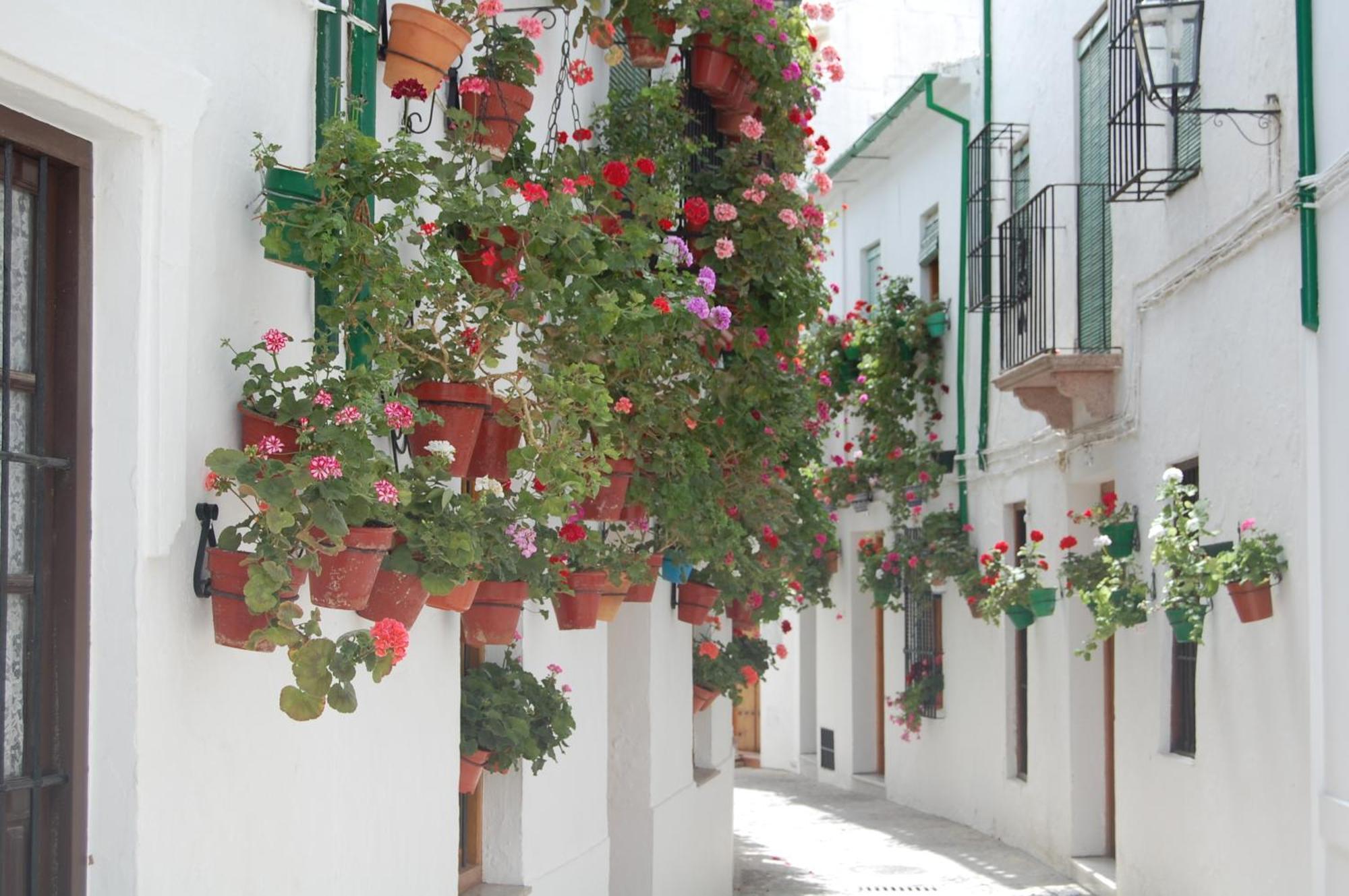 Casa Banos De La Villa Priego de Córdoba Εξωτερικό φωτογραφία